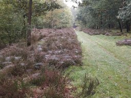 fotoalbums &raquo; wandeling oktober 2017
