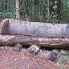 fotoalbums &raquo; Gerheserheide
